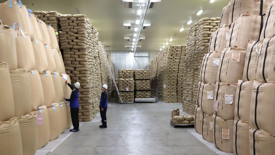 こしいぶき
高品質、良食味、新潟米の代表早生品種