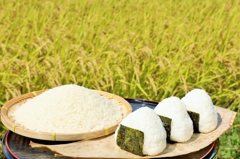 こしいぶき
高品質、良食味、新潟米の代表早生品種